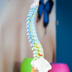 Top hernia oefeningen: verlichting en versterking voor een sterke rug